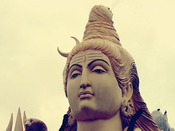 5. ಹೂವಿನ ಪಲ್ಲಕ್ಕಿ