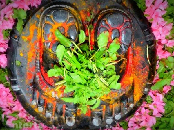 ವಿಸ್ಮಯಕಾರಿ ಶಕ್ತಿ ಇದೆ
