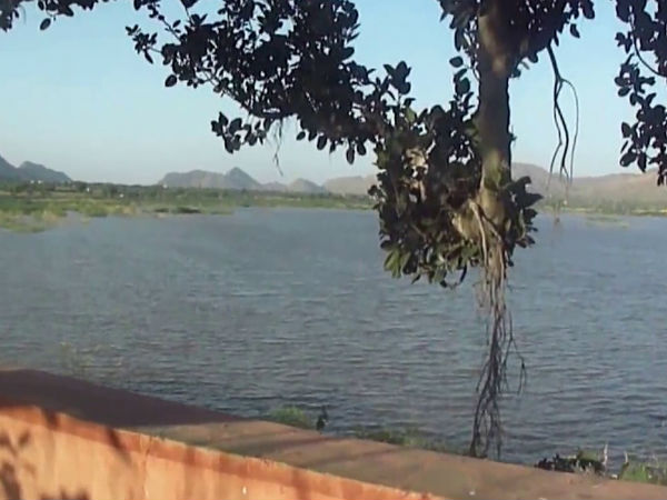 ಫಾಯ್ ಸಾಗರ್