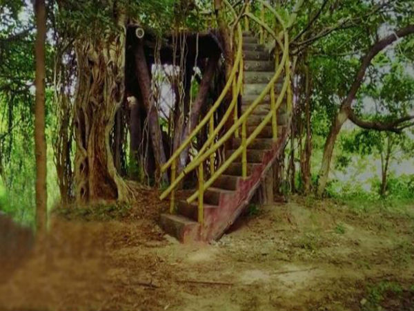 ಪಾರ್ಕ್ನ ವಿಶೇಷತೆ ಏನು ?