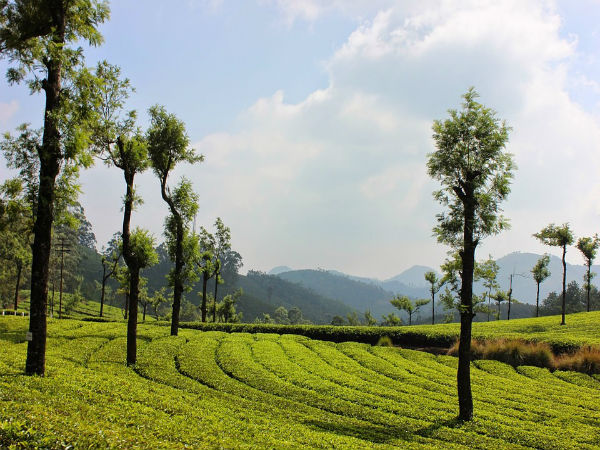 ಮುನ್ನಾರ್