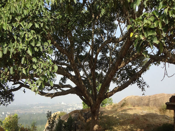 ಛಾಯಾಗ್ರಾಹಕರಿಗೆ ಸೂಕ್ತವಾದ ತಾಣ