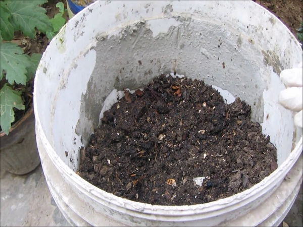 ಸಗಣಿಯಲ್ಲಿ ಕೀಟಗಳೇ ಆಗೋದಿಲ್ಲ