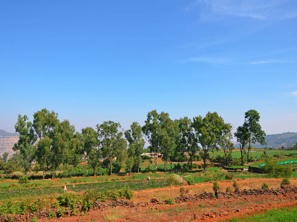 ರಸ್ತೆ ಮೂಲಕ ಹೋಗುವುದಾದರೆ