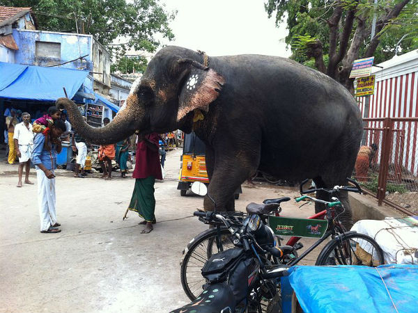 ಬೋಗರ್ನಾಥ್