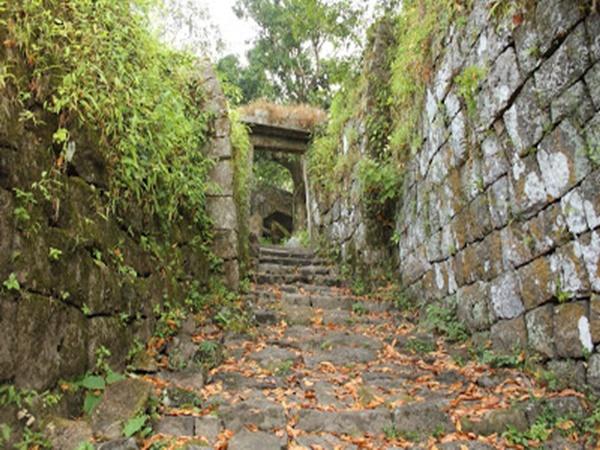ನಿರ್ವಾಣ ಉತ್ಸವಗಳು