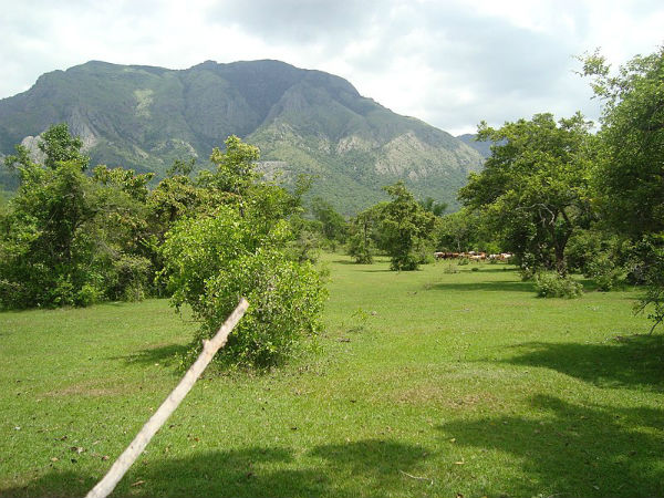 ಏನೇನಿದೆ ಇಲ್ಲಿ