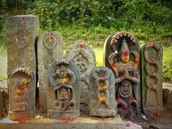 ನಾಗರಾಜನ ಪೂಜೆ ಮಾಡಿದ ಪರಶುರಾಮ