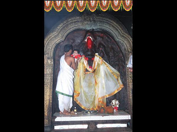 ರೋಗಗಳು ಗುಣವಾಗುತ್ತವೆ