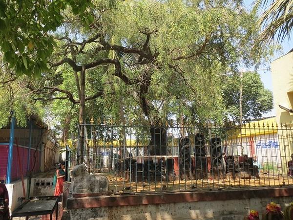 ಭೇಟಿಯ ಸಮಯ