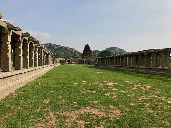 ಕಬ್ಬು, ಜೋಳದ ತೋಟ