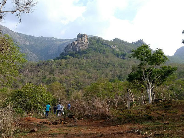 ಟ್ರಕ್ಕಿಂಗ್ ತಾಣ