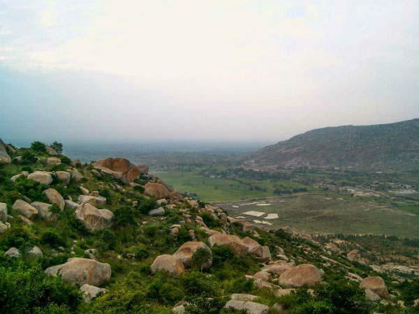 ರಾಬರ್ಟ್ಸೊನ್ಪೆಟ್