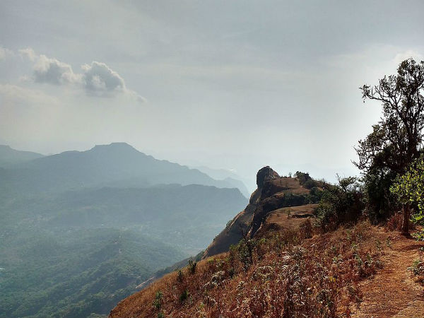 ನೀಡಲ್ ಹೋಲ್ ಪಾಯಿಂಟ್