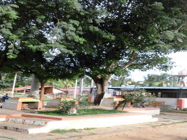ಮಯೂರಾ ವನಾ