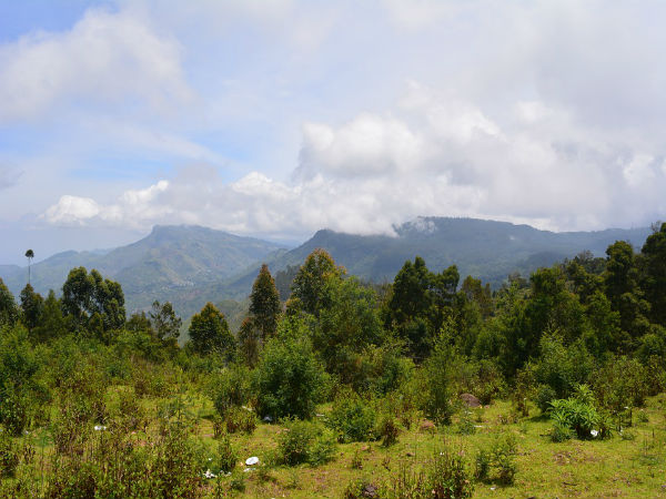 ಕೂನೂರು