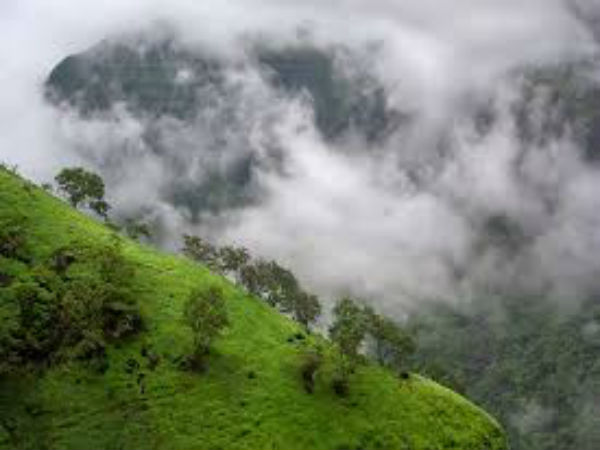 ಕಾಡಿನ ಮಧ್ಯೆಇದೆ