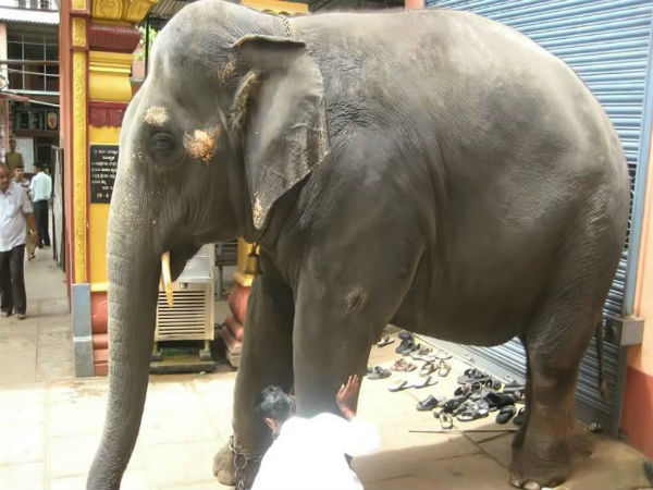 ದರ್ಪದಿಂದ ಮೆರೆದ ಅರುಣಾಸುರ