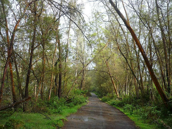 ಮುಕುರ್ತಿ ರಾಷ್ಟ್ರೀಯ ಉದ್ಯಾನವನ