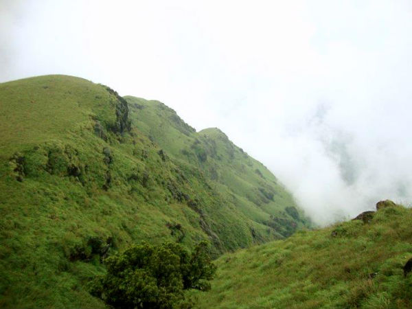 ಹನಿ ವ್ಯಾಲಿ ರೆಸಾರ್ಟ್
