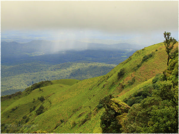 ಚಿಕ್ಕಮಗಳೂರು