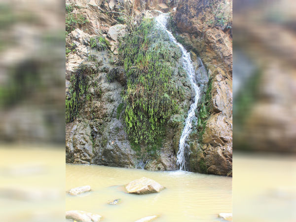 ಮುತ್ಯಲಾ ಮಡುವು ಜಲಪಾತ