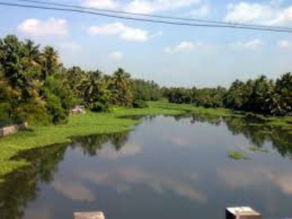 ಮರದ ಪಾದುಕೆ