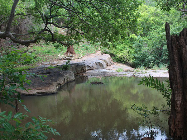 ತಲುಪುವುದು ಹೇಗೆ?