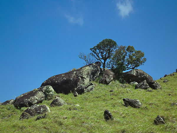 ನೆಯ್ಯರ್ ವನ್ಯಜೀವಿ ಧಾಮ