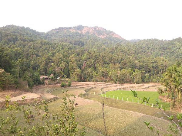 ಯಾವಾಗ ಭೇಟಿ ನೀಡುವುದು ಸೂಕ್ತ