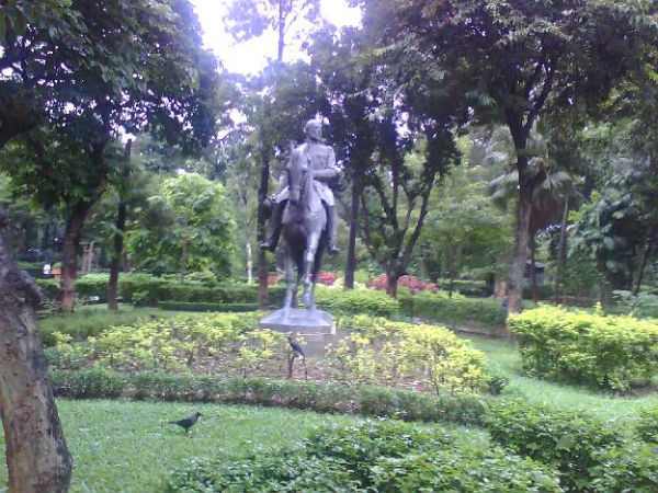ನೆರಳು ನೀಡುವ ಮರಗಳು