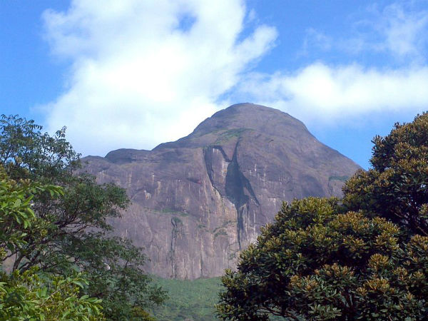 ರೈಲು ಮೂಲಕ