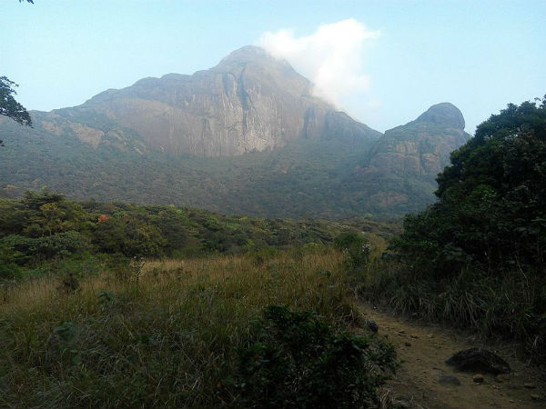 ರಸ್ತೆಯ ಮೂಲಕ