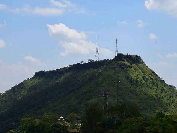 ಅಜಿಂಕ್ಯಾತಾರ
