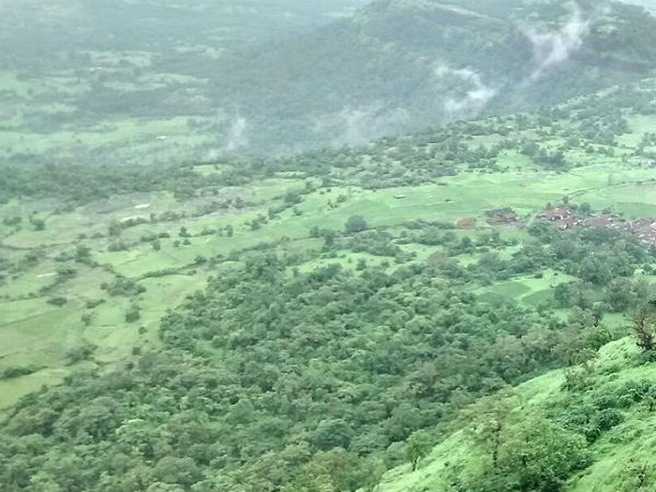 ಯಾವಾಗ ಭೇಟಿ ನೀಡುವುದು ಸೂಕ್ತ