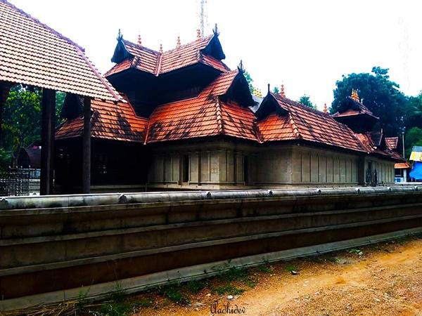 ವಿಶುಕಣಿ