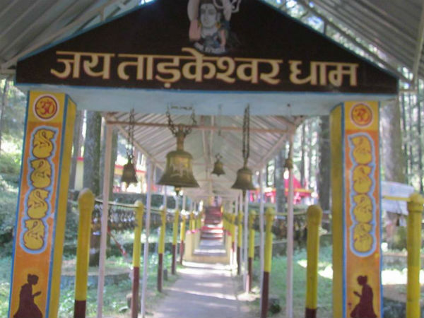ಗಂಟೆ ಅರ್ಪಿಸುತ್ತಾರೆ