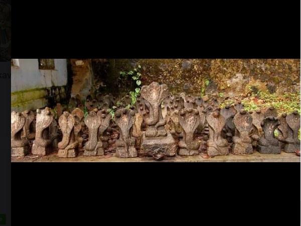 ನಾಗದೋಷ ಪರಿಹಾರಕ್ಕೆ ಇಲ್ಲಿಗೆ ಬರುತ್ತಾರೆ