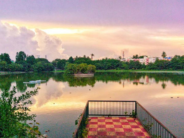 ಬರ್ಡ್ ವಾಲ್