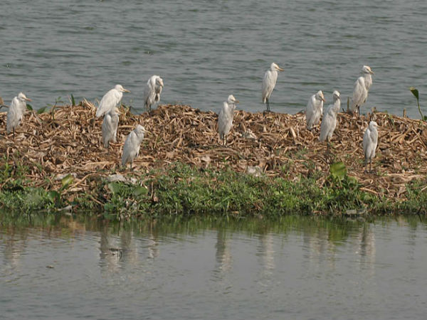 ಇನ್ನಿತರ ಆಕರ್ಷಣೀಯ ತಾಣಗಳು