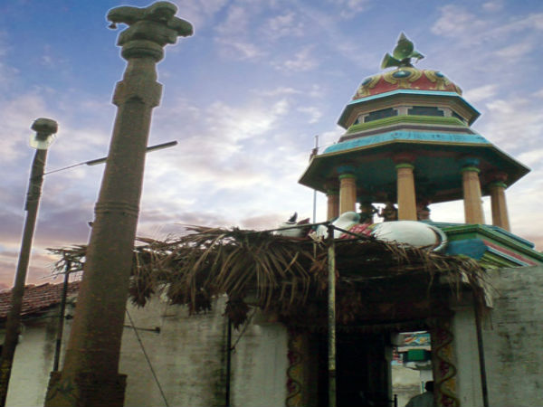 ಮಾರಣಾಂತಿಕ ರೋಗಗಳು ಗುಣವಾಗುತ್ತದೆ