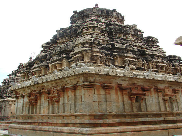 ಅವನಿ