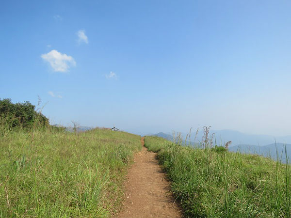 ಟ್ರೆಕ್ಕಿಂಗ್ ಮಾರ್ಗಗಳಿವೆ