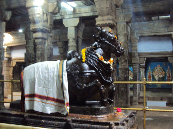 ನಂದಿಯ ದೊಡ್ಡ ಪ್ರತಿಮೆ