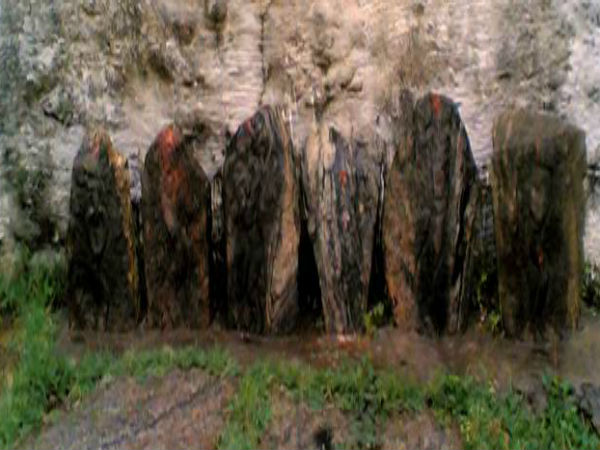 ದೇವಸ್ಥಾನವನ್ನು ಕಾಯುತ್ತವೆ ಹಾವುಗಳು