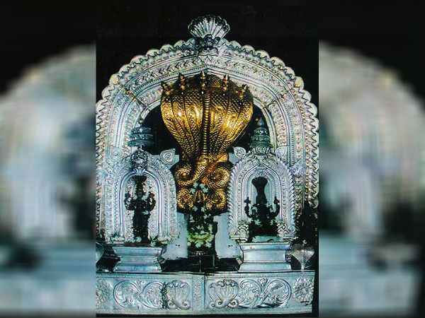 ಹಾವಿನ ಮೊಟ್ಟೆ