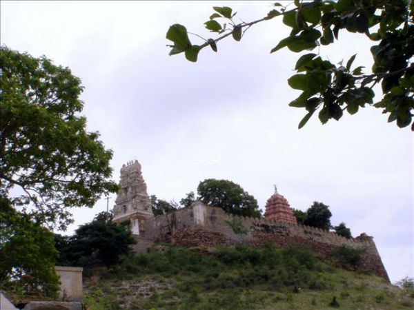 ವಾರ್ಷಿಕ ಉತ್ಸವ