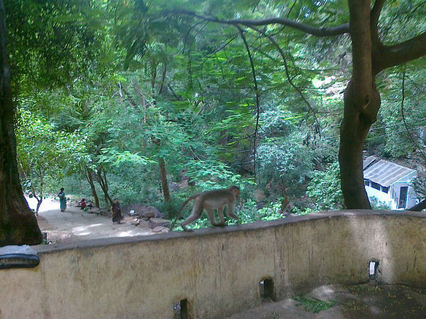 ಯಾವಾಗ ಭೇಟಿ ನೀಡುವುದು ಸೂಕ್ತ