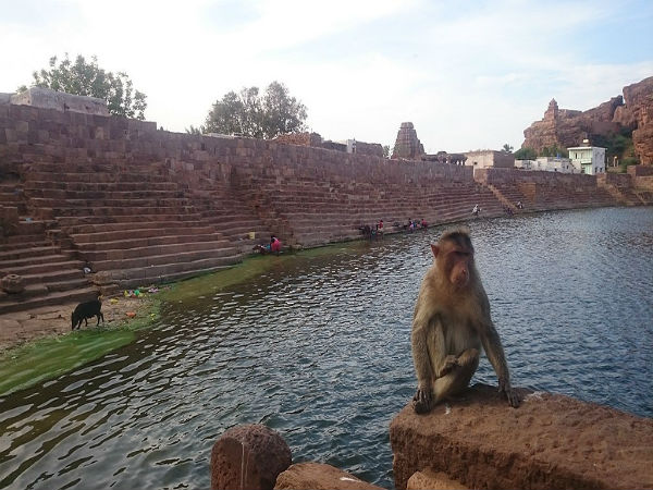 ಯಾವಾಗ ಭೇಟಿ ನೀಡುವುದು ಸೂಕ್ತ