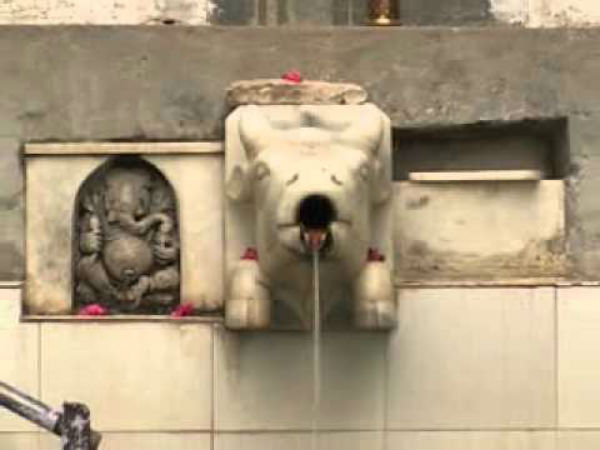 ಕಲ್ಲಿನಲ್ಲಿ ಕೆತ್ತಿದ ಹಸುವಿನ ಮುಖ